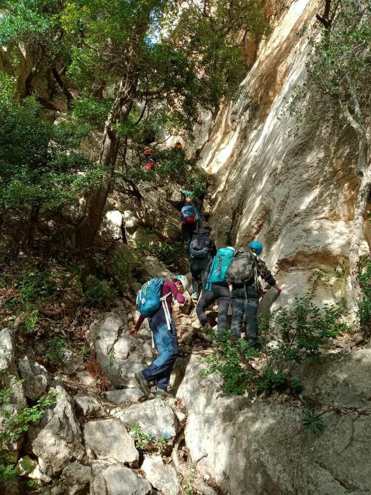 Couleurs d'automne dans les Dentelles de Montmirailles Couleurs d'automne dans les Dentelles de Montmirailles