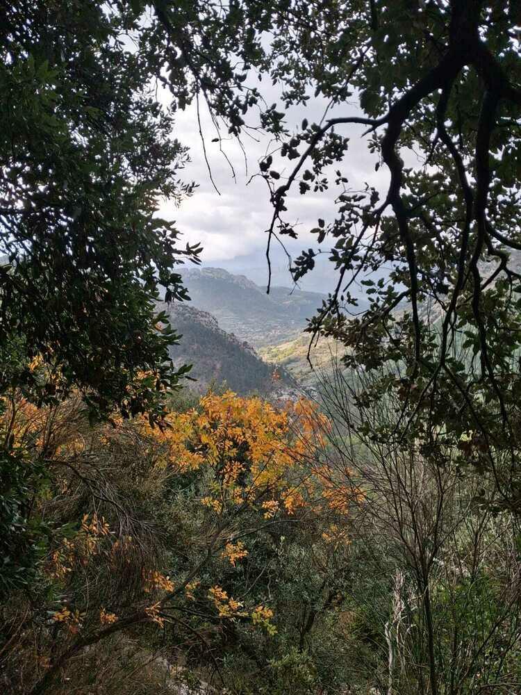 couleurs d'automne couleurs d'automne