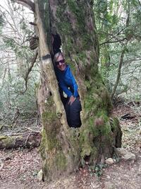 arbre à sacrifice arbre à sacrifice