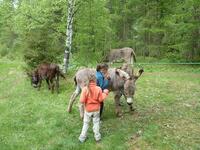 Au travail Au travail