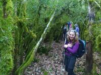 Chlorophylle Chlorophylle