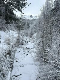 Ravin froid Ravin froid