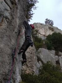 Patounet, il envoi du bois Patounet, il envoi du bois