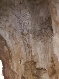 superbe sculpture naturelle superbe sculpture naturelle